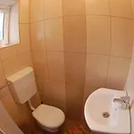 Anemona אפורי נורד