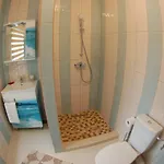 Anemona אפורי נורד